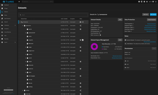 TrueNAS storage layout