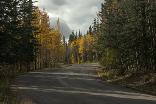 A photograph of the road leading up to Guanella Pass. The road curls to the right before snaking back to the left out of sight up the valley. The pines and aspens line the road, making the outdoor space feel cozy and autumnal. The sky above is grey and overcast. Another storm is rolling in.