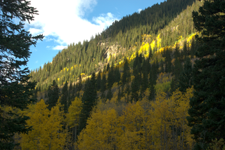 A photo of Otter Mountain from the entrance to Guanella Campground. Dark evergreen trees line the left and right edges of the frame in the close foreground. In the mid-foreground, a band of yellow aspen trees lightly obscures the band of evergreens behind them. Cutting through the middle of the frame is the edge of the shadow cast by the mountain across the valley. The sun highlights another group of aspen trees further up the mountain. Above those, more pine trees straddle the rocky side of the mountain. In the top-center and top-left edges of the frame, the blue sky is bisected by a cloud.